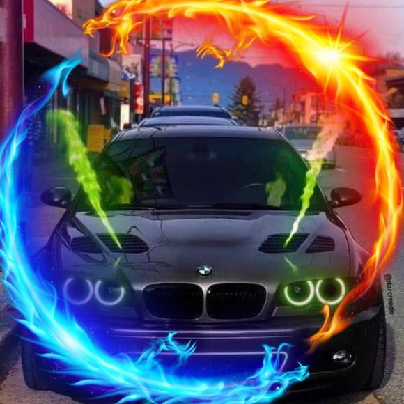 Meet your Posher, Wilmer - Picture 1 of 1